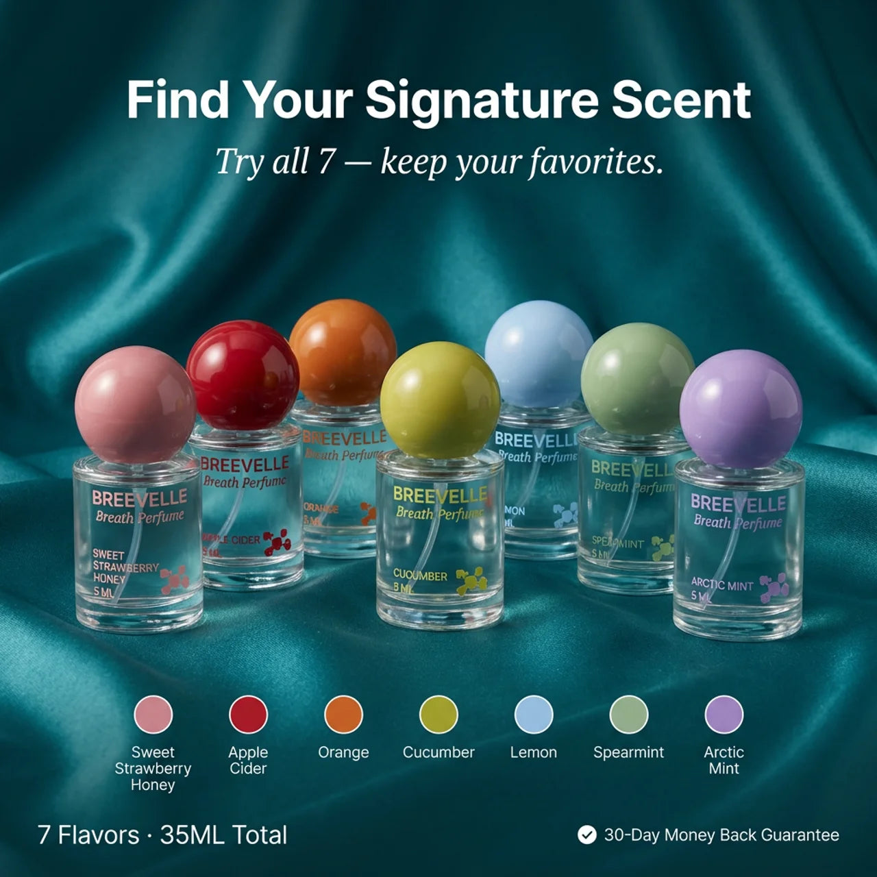 The Discovery Collection